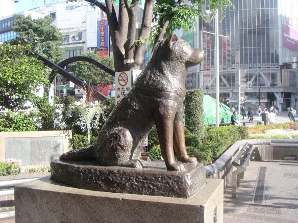 hachiko-statue-themost-loyal-dog-in-world